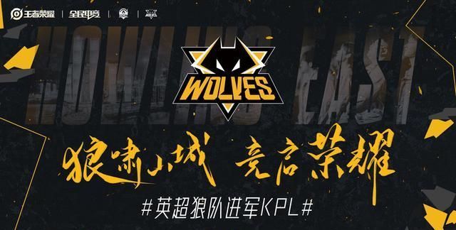 为什么是武
